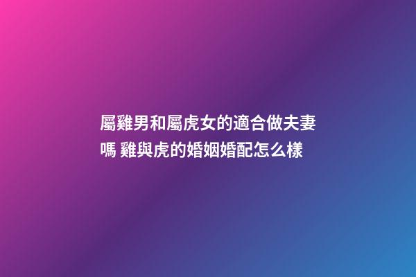 屬雞男和屬虎女的適合做夫妻嗎 雞與虎的婚姻婚配怎么樣